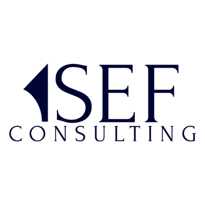 Logo Sef Consulting, uno dei retisti